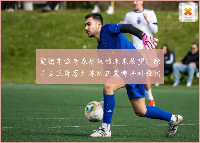爱德华兹与森林狼的未来展望：除了后卫阵容外球队还需哪些补强措施