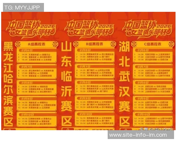 因不可抗力因素海口赛区调整WCBA俱乐部杯首阶段A组迁至哈尔滨